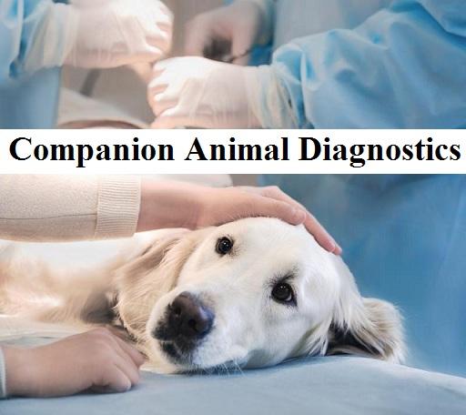 Global Companion Animal Diagnostic Market